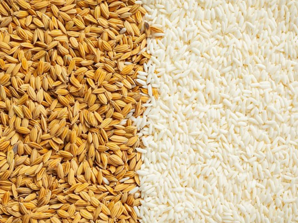 Nepal imports rice and paddy worth nearly Rs 1.8 billion in a month
