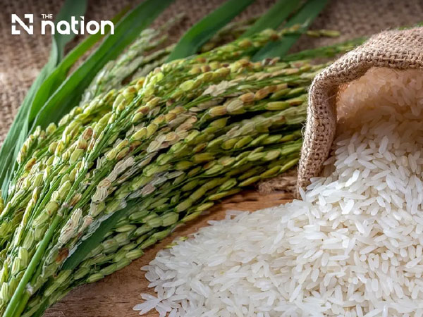Thai rice regains Malaysia lead with 20-year high forecast