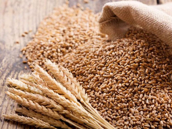 Bangladesh resumes Indian wheat purchases amid Black Sea disruptions