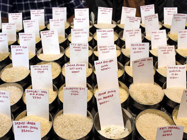 India eyes new rice markets as exports to Jordan, Turkey surge