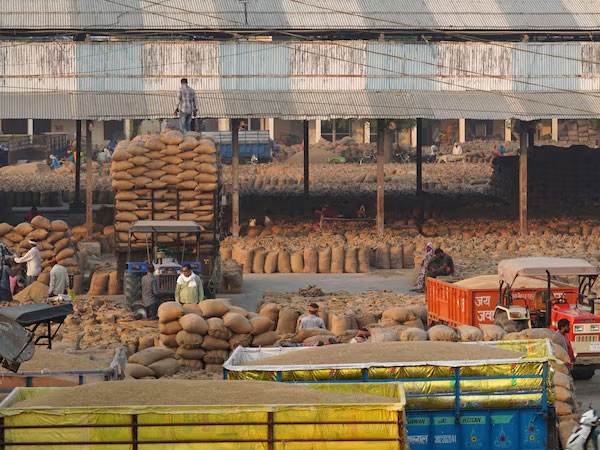 India rice output faces biggest drop in two decades, stocks cushion exports