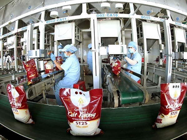 Philippines’ record rice import plan opens export opportunities