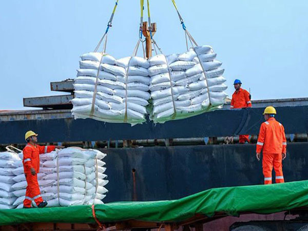 Cambodia surpasses long-awaited ambitious ‘one-million-tonne rice export’ goal