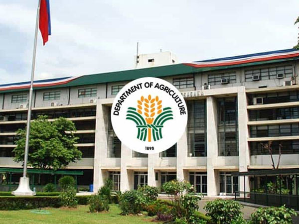 DA: Import permit of rice from Vietnam cancelled even before reaching PH shores