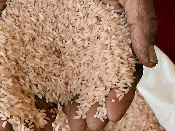 Huge quantity of PDS rice seized in crackdown