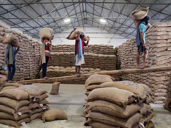 India's rice export earnings rise 12.9% in April-August; BIRC to focus on policy , incentives