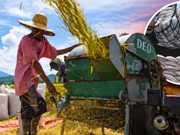 Philippines Remains World’s Largest Rice Importer in 2026 as El Niño, Typhoons Disrupt Harvests