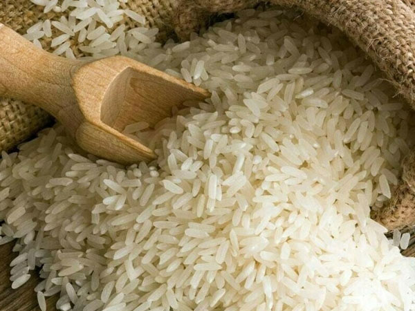 Rice sector exploring opportunities to conserve irrigation water