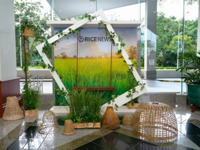 SS Rice News Convention 2025, Pattaya - Thailand