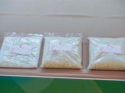 SS Rice News Convention 2025, Pattaya - Thailand