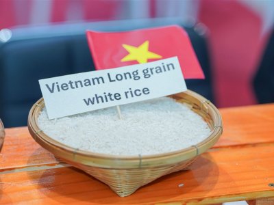 SS Rice News Convention 2025, Pattaya - Thailand